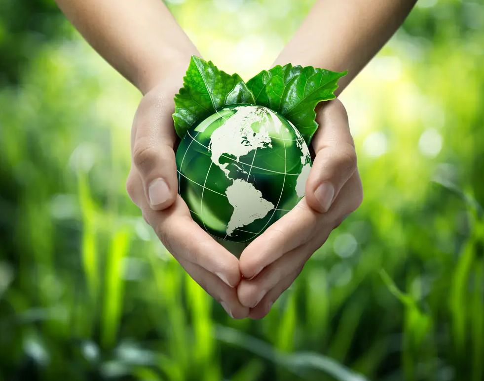 關(guān)于綠色印刷，這些你都知道嗎？